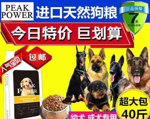 小马犬饮食禁忌清单｜健康喂养核心技巧