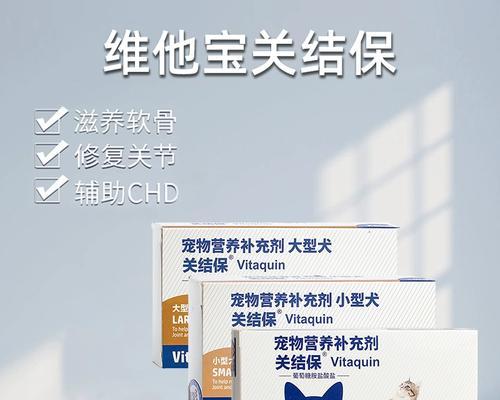 老年犬关节炎药物治疗方案｜缓解疼痛提升生活质量全攻略