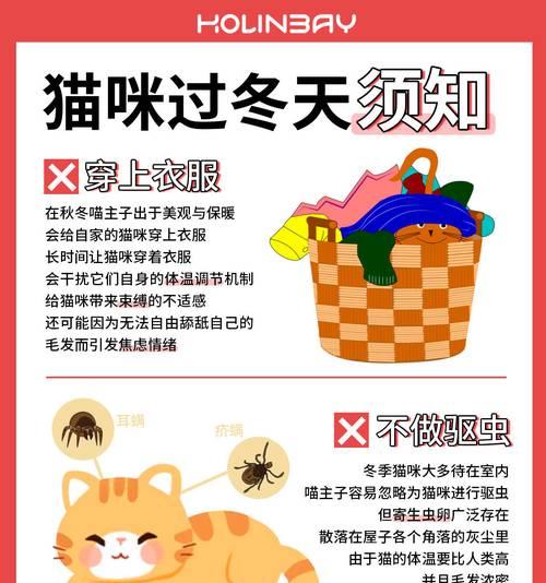 猫驱虫禁忌与注意事项｜科学驱虫全攻略