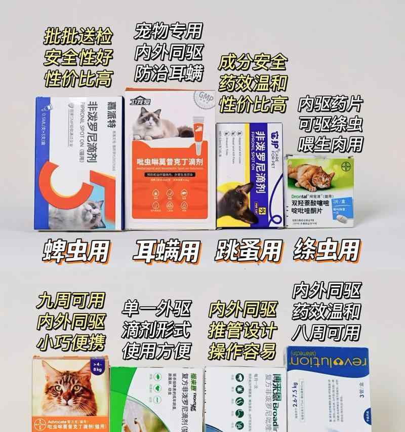 猫驱虫禁忌与注意事项｜科学驱虫全攻略