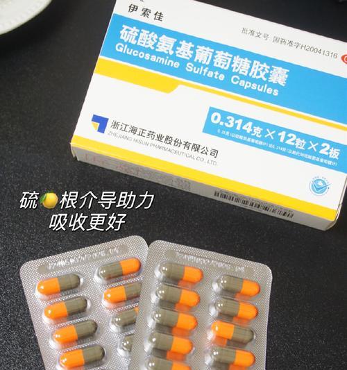 老年犬关节炎药物治疗方案｜缓解疼痛提升生活质量全攻略