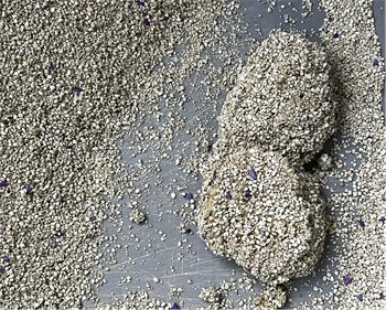 里兜猫砂好用吗