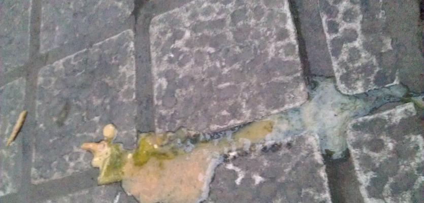 细小早期拉什么便便？（细小早期拉什么便便，了解症状与治疗方法）