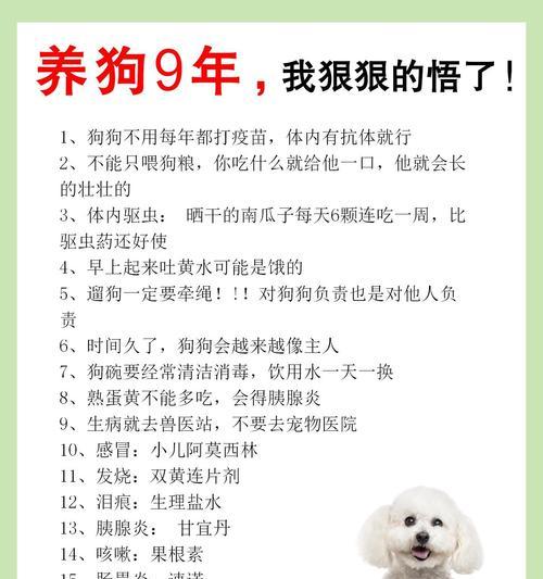 养狗必打疫苗全攻略｜守护爱犬健康关键