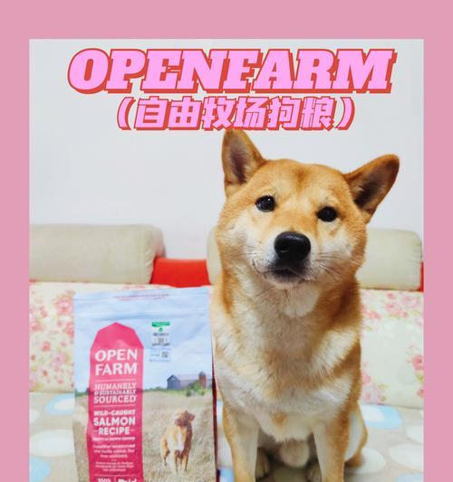 狗不吃狗粮？实用指南教你解决狗狗拒食问题