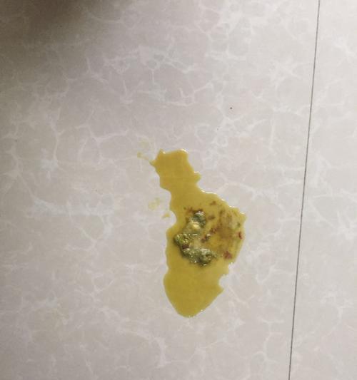 泰迪大便异常原因及处理指南｜宠物健康养护核心技巧