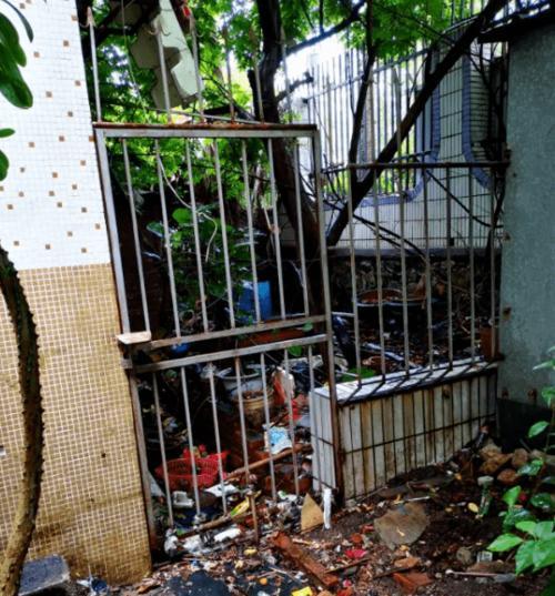 珠海狗市场全攻略｜地理位置、品种与交易指南