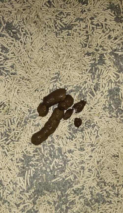 从坚硬到柔软（揭秘物体变形的原因及机制）