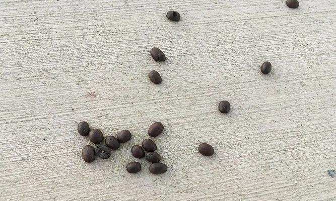 物体变形原因及机制全攻略｜硬度与柔软度的秘密