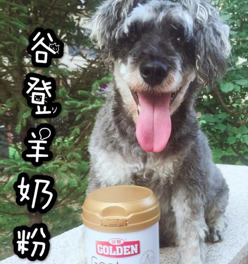 一月大狗的奶粉选择（为宝贝提供全面营养的关键）