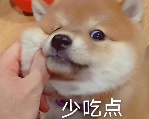 小狗为何不知道饱？（探究小狗食量无限的原因及解决方法）