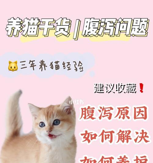 猫腹泻的饮食指南（如何正确喂养患有腹泻的猫咪）