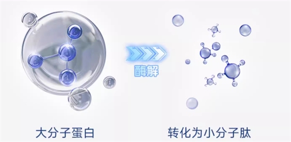 毛球殿下猫粮怎么样？