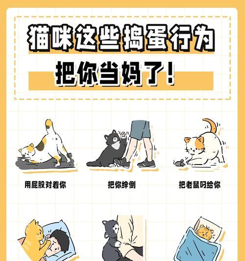 母猫快生了，准备工作要做好（如何为快要分娩的母猫做好准备？）