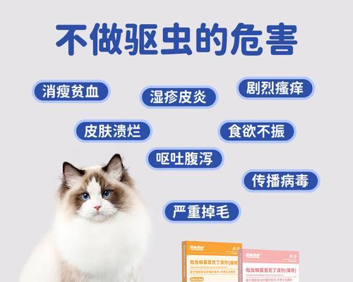 选择适合猫猫的驱虫药，关爱宠物健康（了解猫猫驱虫药的品牌及效果，为宠物提供全面保护）