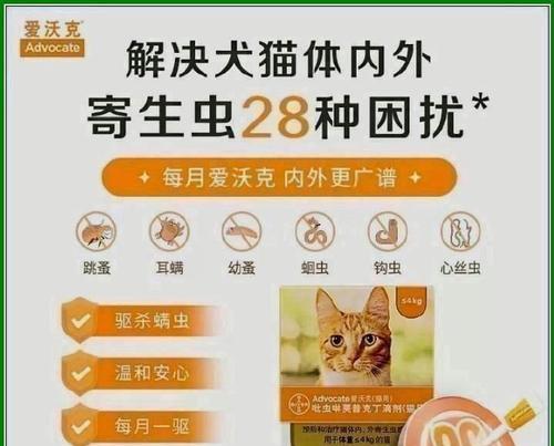 选择适合猫猫的驱虫药，关爱宠物健康（了解猫猫驱虫药的品牌及效果，为宠物提供全面保护）