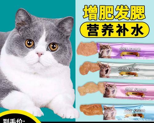 猫咪产后喂食注意事项（健康饮食促进母猫和幼猫成长）