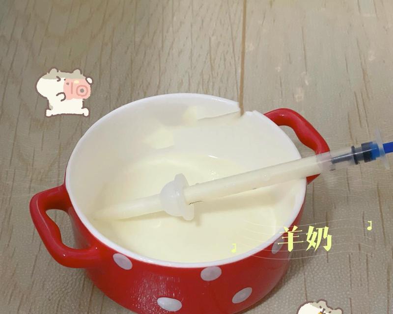 猫咪产后喂食全攻略｜科学饮食助母猫幼猫健康成长