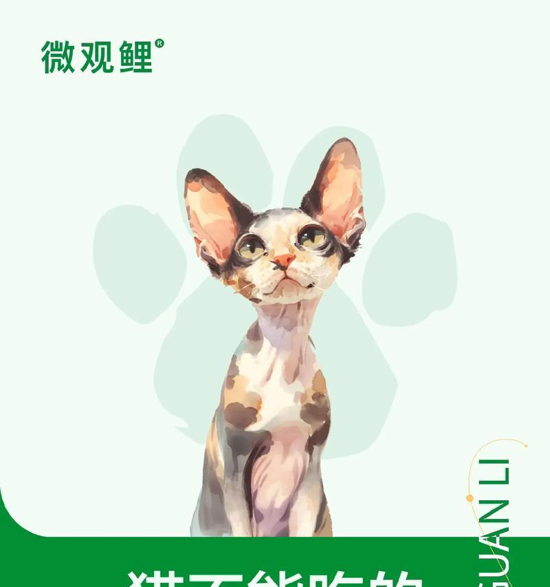 小猫的水果餐（了解适合小猫食用的水果种类及注意事项）