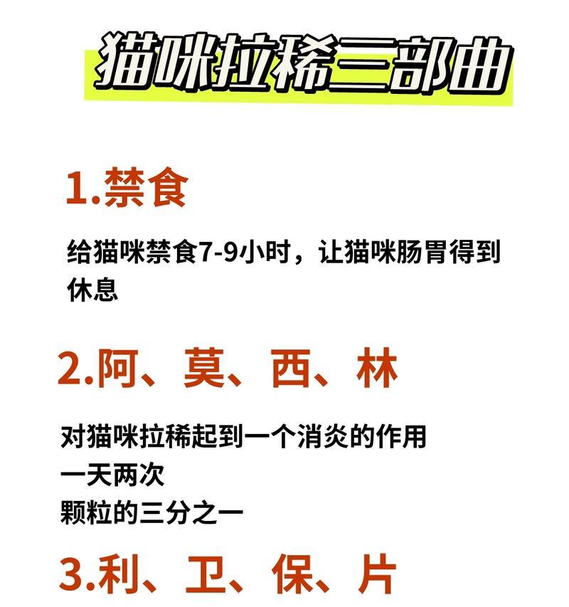 猫咪拉肚子怎么办｜药物治疗方案与护理指南