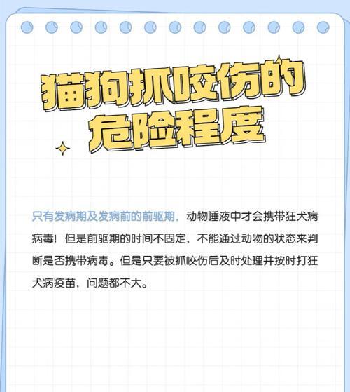 注射狂犬疫苗的注意事项（保护自己与他人，正确注射狂犬疫苗）