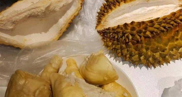 如何缓解狗狗反胃干呕？（以饮食调理和草药治疗为主要方法）