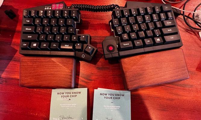 幼犬打芯片的必备证明与程序（保护宠物安全与健康的重要举措）