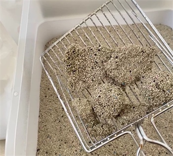 网易严选矿砂测评