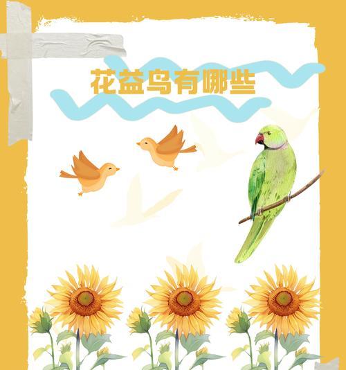 鸟类食物选择与适应策略｜揭秘饮食秘密与进化奥秘