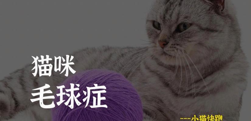 探究猫毛球的成因与处理方法（猫毛球）