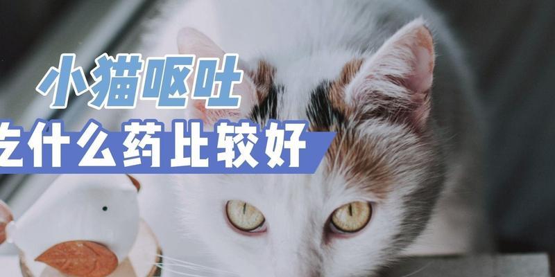 缓解猫嗓子不适的有效药物（舒缓猫嗓子不适的药物及使用方法）