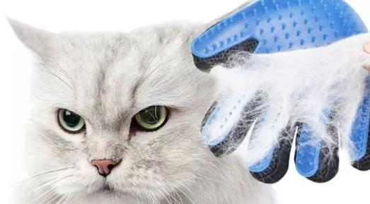 猫毛球成因与处理方法全攻略｜猫咪健康必备知识