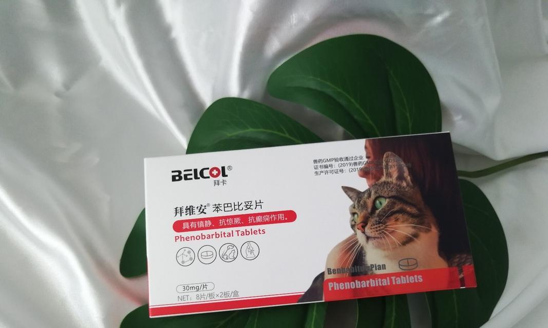 缓解猫嗓子不适的药物及使用方法｜实用指南