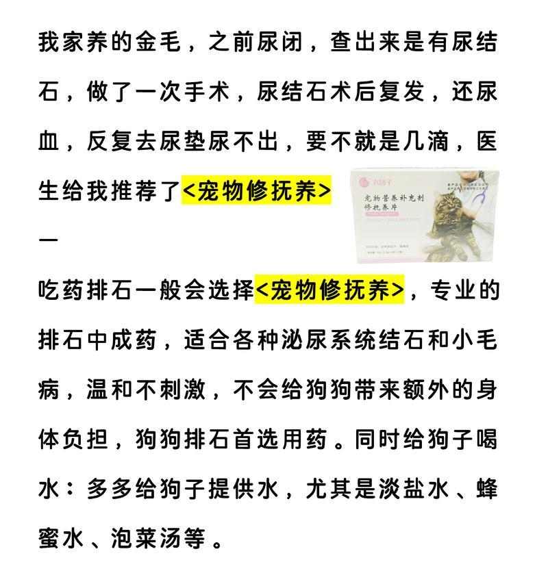 小狗尿血（了解小狗尿血的常见病因及应对之道）