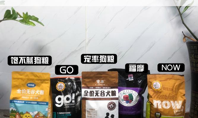 柯基毛发变黄原因及预防方法｜养犬实用指南