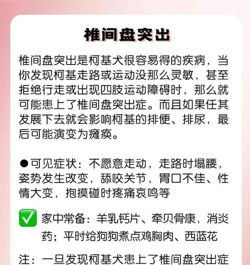 柯基毛为什么会变黄？（探究柯基毛变黄的原因及预防方法）