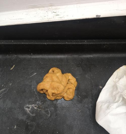 选择合适狗粮｜降低狗狗便便臭味全攻略