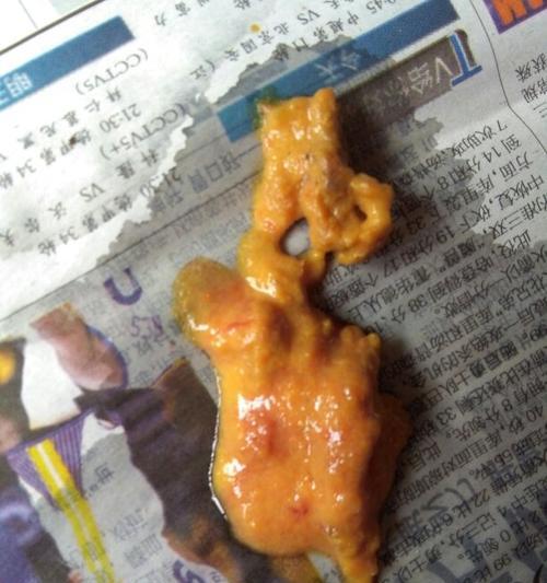 选择合适狗粮，让狗狗的便便清香无比（降低狗狗排泄物的臭味，提升室内空气质量）