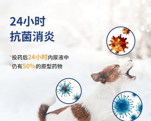 狗狗配种后咳嗽的处理方法｜实用指南