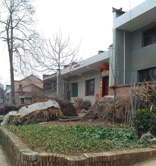 卫生间长草的意思及其解读（深入探究卫生间长草的现象及背后的含义）