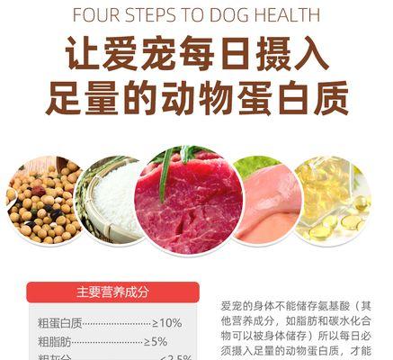 幼犬毛发保健全攻略｜如何让狗狗毛发亮丽有光泽
