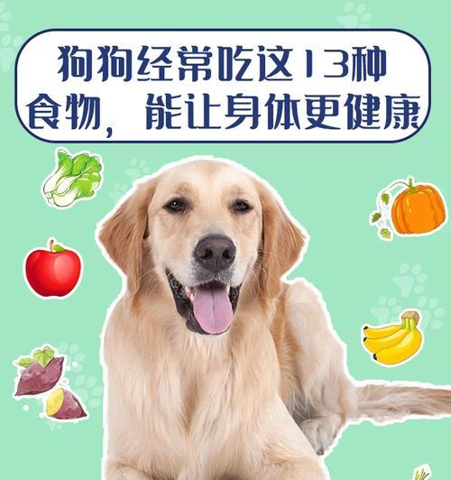 小狗的作用与益处（小狗作为宠物给人们带来的快乐和帮助）