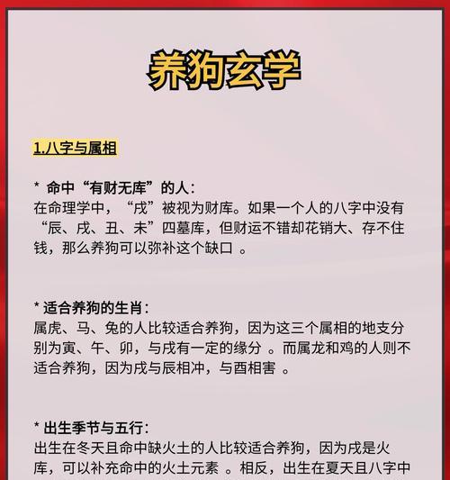 小狗的作用与益处｜宠物带来的快乐与帮助全攻略