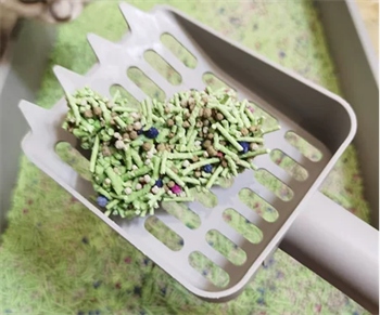 神经猫猫砂测评 神经猫猫砂测评