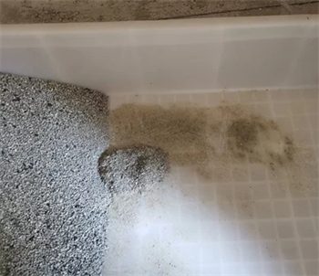 小佩矿砂测评 小佩矿砂测评