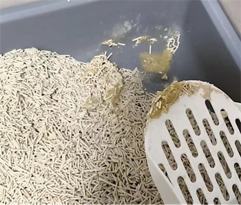 豆腐猫砂测评 豆腐猫砂测评