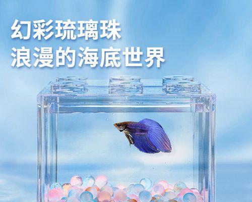 如何选择适合的斗鱼底砂类型｜实用指南