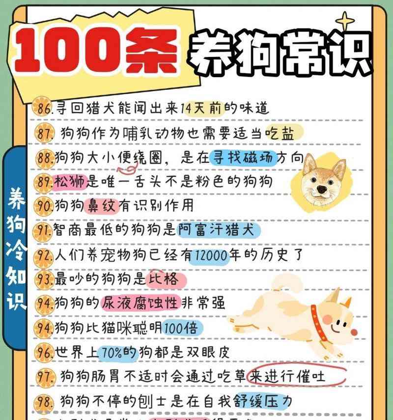 幼犬迎接新家的注意事项｜实用指南