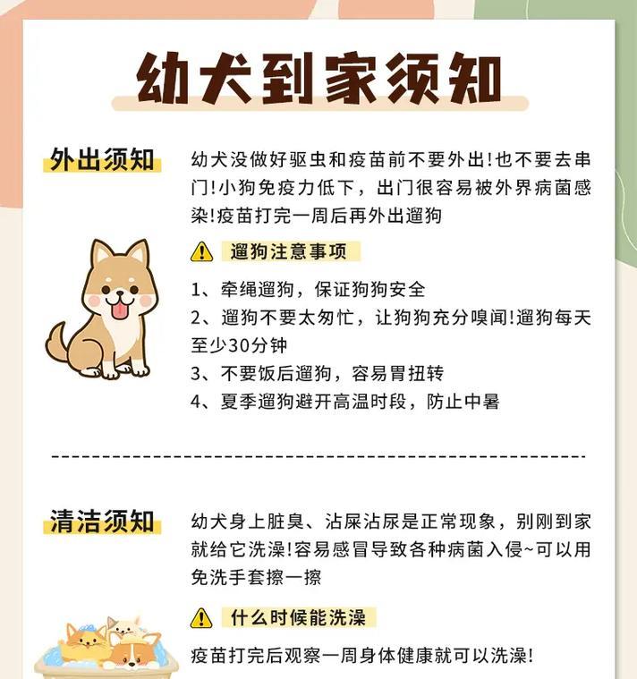 幼犬迎接新家的注意事项（如何让幼犬顺利适应新环境）