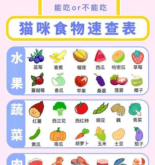 孕期母猫饮食指南｜科学喂养助小猫健康成长